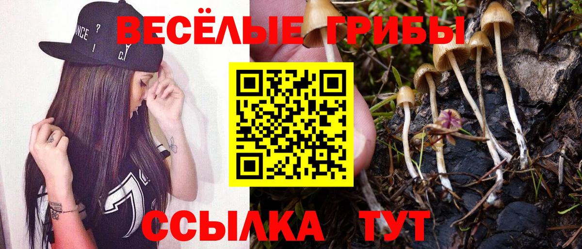 Псилоцибиновые грибы ЛСД Шахты