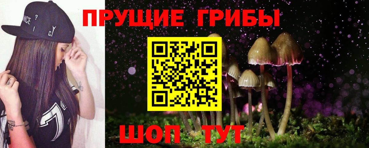 Галлюциногенные грибы GOLDEN TEACHER  даркнет сайт  Шахты  Вход с VPN  Галлюциногенные грибы мицелий 